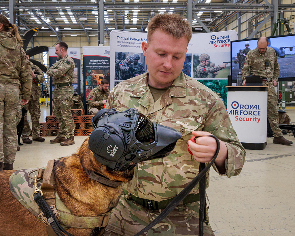 A military dog with handler. The dog is wearing head, eye and ear protection.
